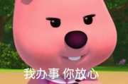 星瑞极端测试彰显卓越实力，安全交付给你我就放心啦